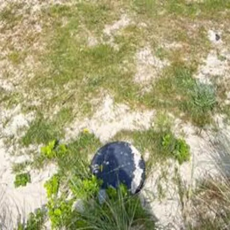 6 Person In * Fjerritslev